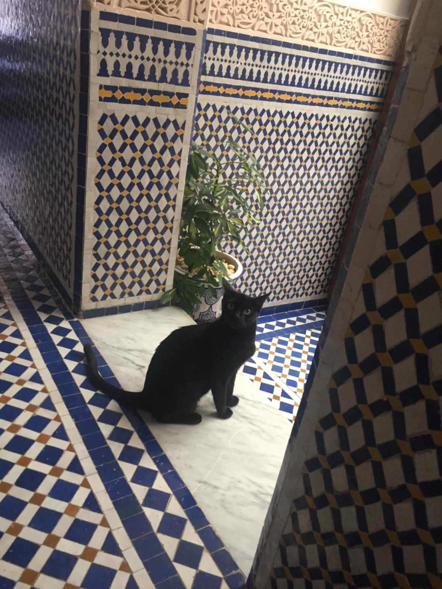 Dar D'Or Fes Hotel Kültér fotó