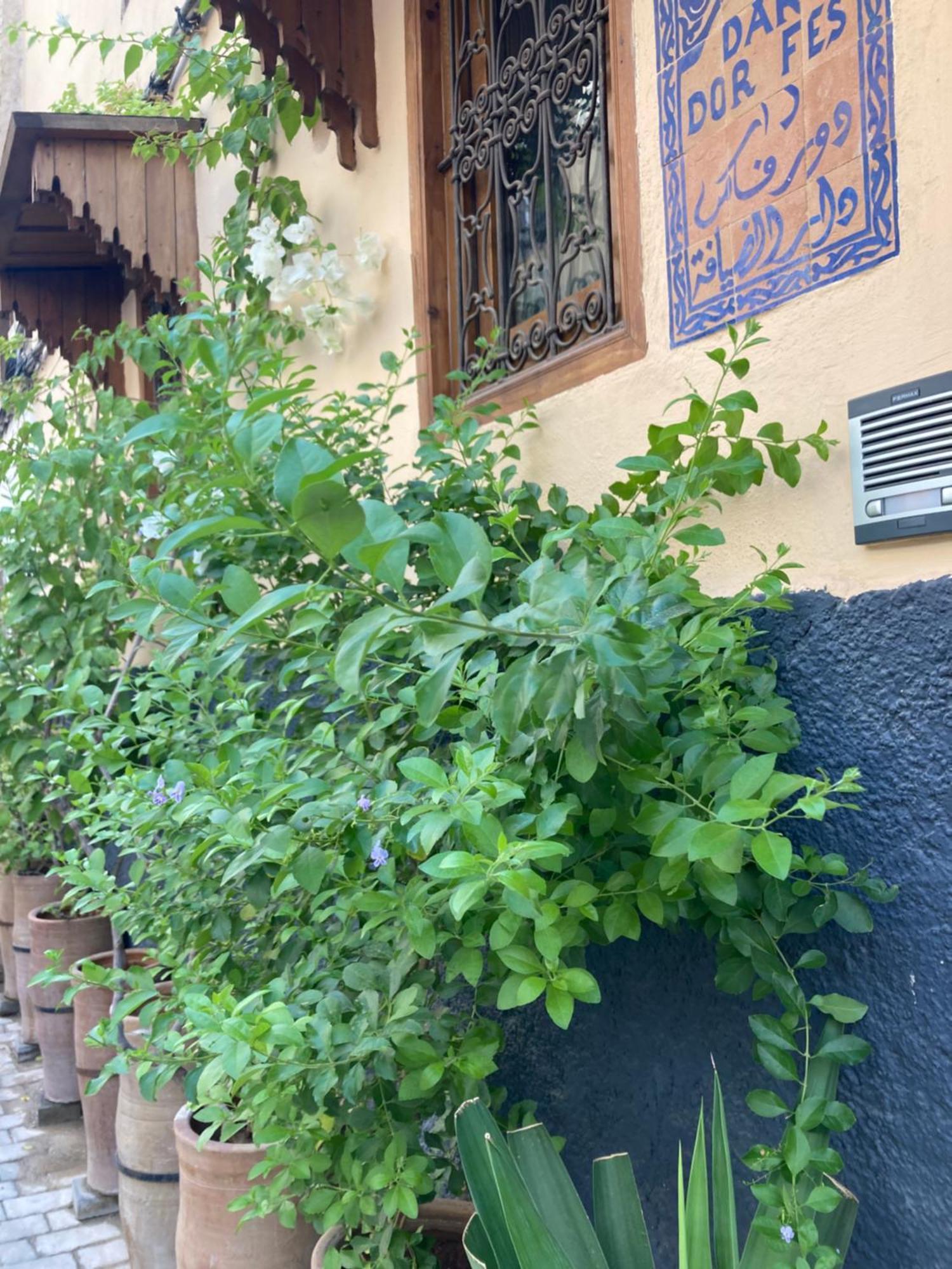 Dar D'Or Fes Hotel Kültér fotó